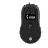 Мышь EXEGATE SH-9026 COLOR BOX EX264099RUS
