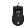 Мышь EXEGATE SH-9031 COLOR BOX EX280438RUS