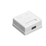 Розетка внешняя двойная EXEGATE SM2-RJ45-C6 RJ-45 кат.6 UTP Krone 110 EX292845RUS
