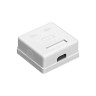 Розетка внешняя двойная EXEGATE SM2-RJ45-C6 RJ-45 кат.6 UTP Krone 110 EX292845RUS